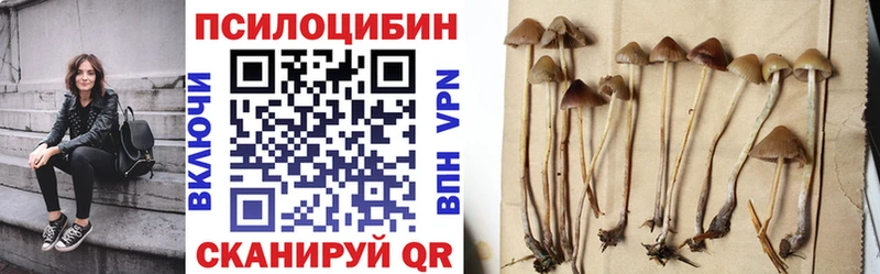 наркотики  Свободный  Псилоцибиновые грибы MAGIC MUSHROOMS 